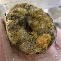 Donut Donut