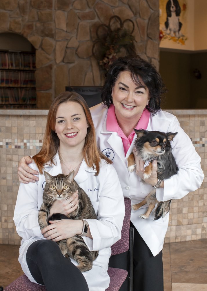 4 PAWS VETERINARY CARE with 10 real customer photos Updated August