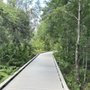 Photo of Upper Tampa Bay Area Trail