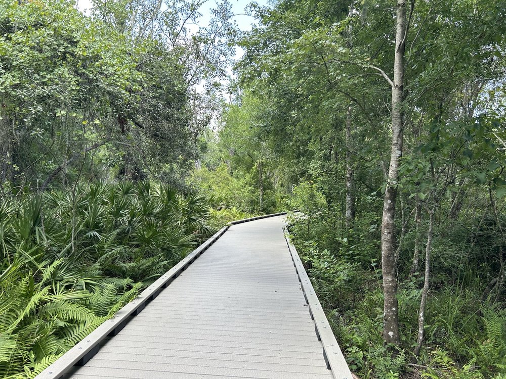 Upper Tampa Bay Area Trail Image
