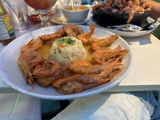 La Seareinita by null