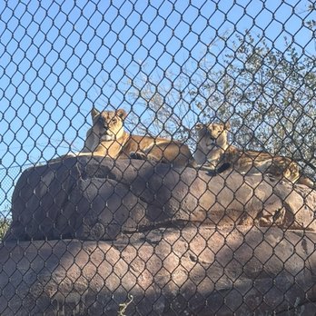 Phoenix Zoo - Zoos Near Me - Phoenix, Arizona