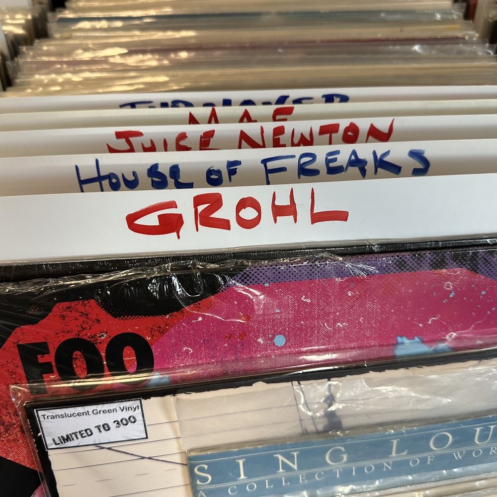 Vinyl Daze Records - I just liked that Dave Grohl had his own divider - Vinyl Records Near Me - Virginia Beach, Virginia
