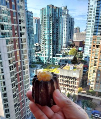 Rosedale on Robson Suite Hotel by null