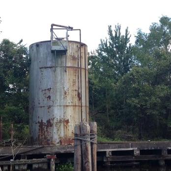 Cajun Critters Swamp Tour - Tours Near Me - Westwego, Louisiana