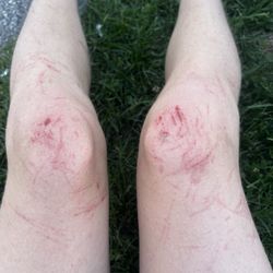 Hipp Brook Preserve - Results