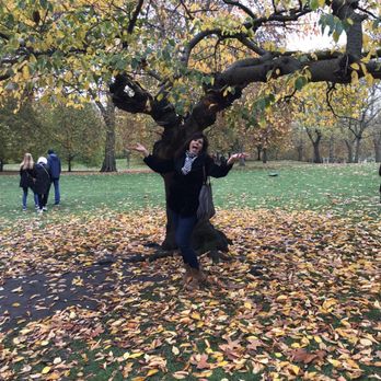 Buckingham Palace - Love the park near the palace - Landmarks & Historical Buildings Near Me - London, XGL Buckingham Palace - Love the park near the palace - Landmarks & Historical Buildings Near Me - London, XGL
