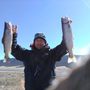 Photo of Rio Grande Del Norte Outfitters