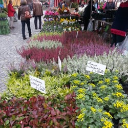Wochenmarkt