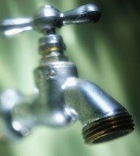 Slide of Owen S Dunigan