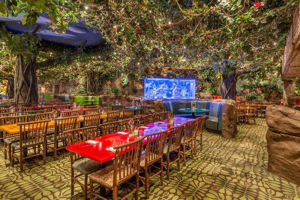 Rainforest Cafe by null