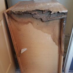 Maria’s landscapes and building maintenance