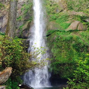 Multnomah Falls - Gorgeous gorge! - Hiking Near Me - Bridal Veil, Oregon Multnomah Falls - Gorgeous gorge! - Hiking Near Me - Bridal Veil, Oregon