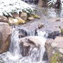 Photo of Aquatic Creations