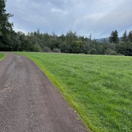 Open grass