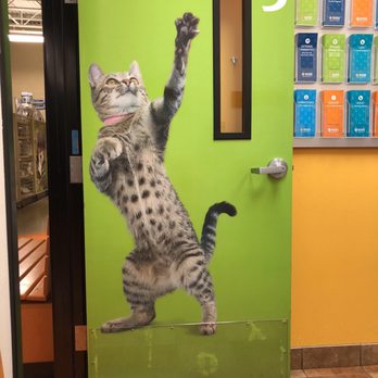Banfield Pet Hospital - Veterinarians Near Me - El Segundo, California
