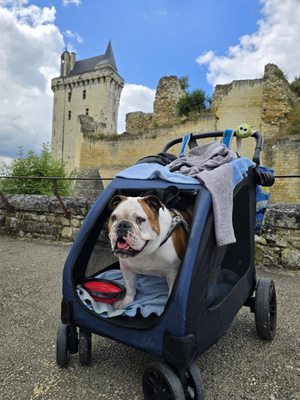 Forteresse Royale de Chinon by null