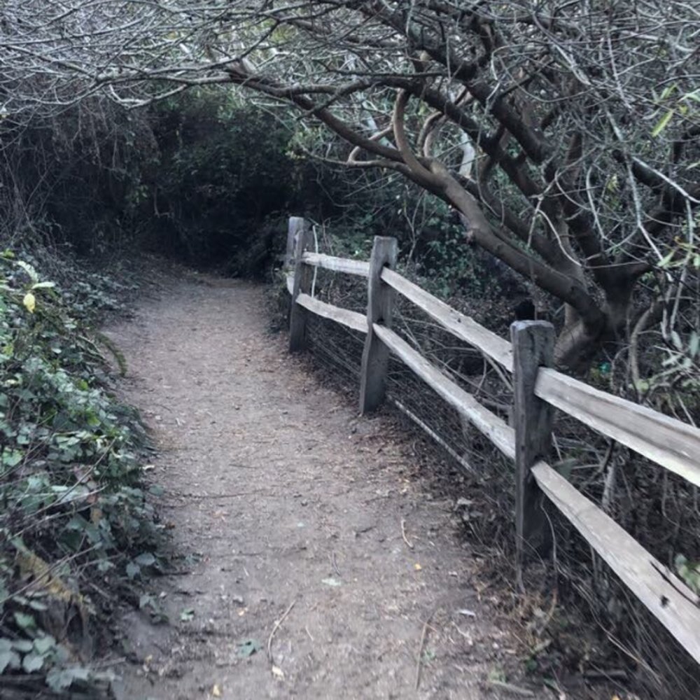 Glen Canyon Park - Parks Near Me - San Francisco, California Glen Canyon Park - Parks Near Me - San Francisco, California