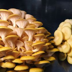 Au Petit Bonheur