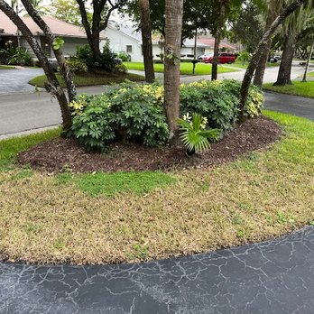 Green Life - Before: Center Island - Pest Control Near Me Green Life - Before: Center Island - Pest Control Near Me