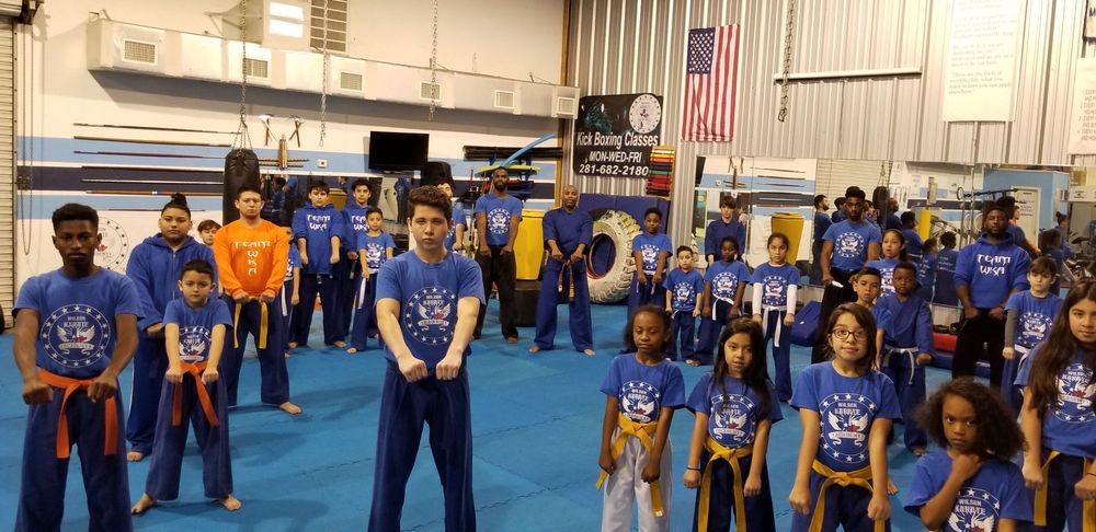 Wilson Karate Academy Logo