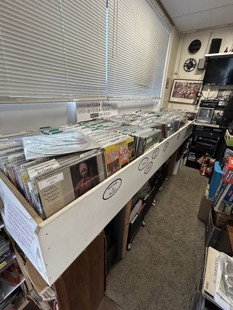 The Vinyl Dinosaur Logo