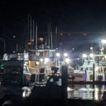 Mitch's Seafood - LED fishing lights at Mitch's. Don't forget your sunglasses and sun block. - Seafood Near Me - San Diego, California Mitch's Seafood - LED fishing lights at Mitch's. Don't forget your sunglasses and sun block. - Seafood Near Me - San Diego, California