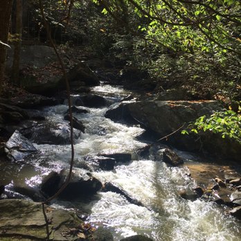 Pearson's Falls and Glen - Creek - Hiking Near Me - Saluda, North Carolina Pearson's Falls and Glen - Creek - Hiking Near Me - Saluda, North Carolina