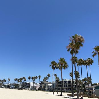 Venice Statepark - Beaches Near Me - Venice, California Venice Statepark - Beaches Near Me - Venice, California