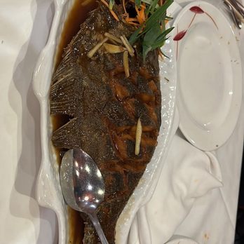 Duangrat's Thai Restaurant - Fish - Thai Near Me - Falls Church, Virginia Duangrat's Thai Restaurant - Fish - Thai Near Me - Falls Church, Virginia