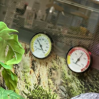 Petco - extremely low humidity for this species - Pet Stores Near Me - Oceanside, California Petco - extremely low humidity for this species - Pet Stores Near Me - Oceanside, California