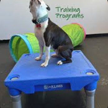 Beech Hill Kennels - Beech Hill Kennels - Pet Groomers Near Me - Bensalem, Pennsylvania Beech Hill Kennels - Beech Hill Kennels - Pet Groomers Near Me - Bensalem, Pennsylvania