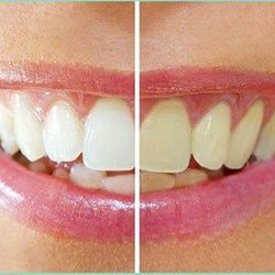 Brian R Anderson, DDS - Untitled