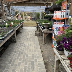 Pots & Plants