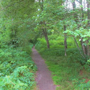 Pawtuxet River Trail - Lots of flies and mosquitoes - Hiking Near Me - Cranston, Rhode Island Pawtuxet River Trail - Lots of flies and mosquitoes - Hiking Near Me - Cranston, Rhode Island