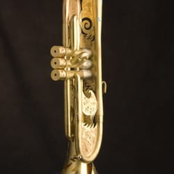David G Monette Corporation - The Elysian Trumpet