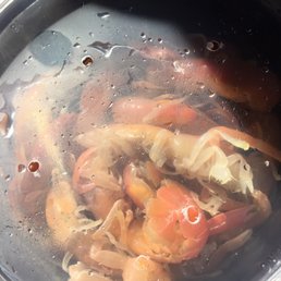 Ghost shrimp