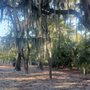 Photo of Dog Park At Govenors Park