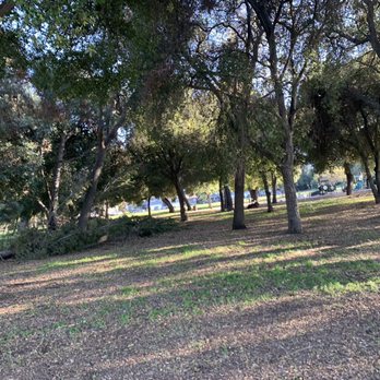 Thousand Oaks Park - Parks Near Me - San Jose, California Thousand Oaks Park - Parks Near Me - San Jose, California
