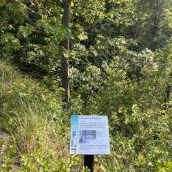 Indiana Dunes - 7/22/23 FYI