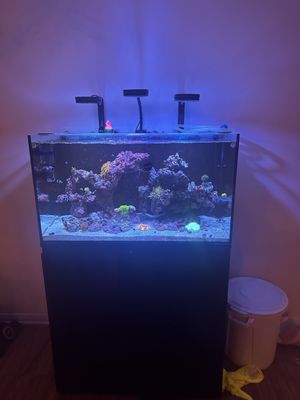 LAX Aquarium by null