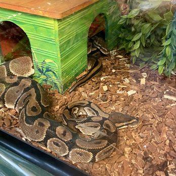 Bug & Reptile Museum - Museums Near Me - Bremerton, Washington