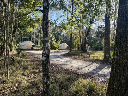 Manatee Springs by null