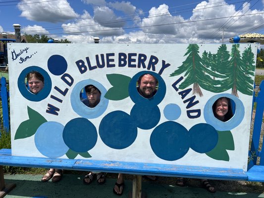 Wild Blueberry Land by null