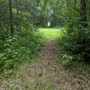 Photo of Linden Park