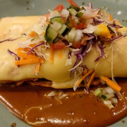 Ceviche & Tequila Bar - Shrimp Enchiladas