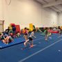 Photo of Wildfire Gymnastics