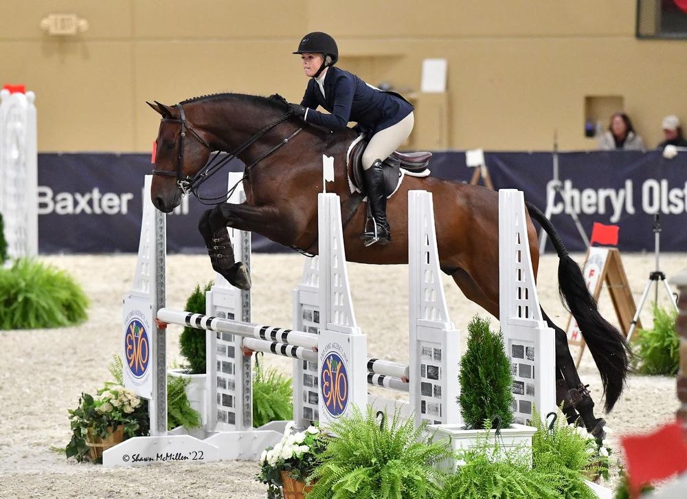 Platinum Farm - equestrian in Marengo, IL