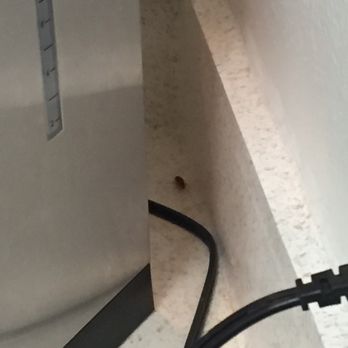 Cielo Apartments - roach on the kitchen counter - Apartments Near Me - Panorama City, California Cielo Apartments - roach on the kitchen counter - Apartments Near Me - Panorama City, California
