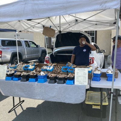 The Sebastopol Farmers' Market by null